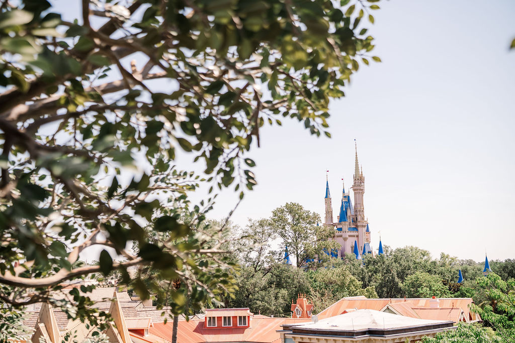 Magia Disney